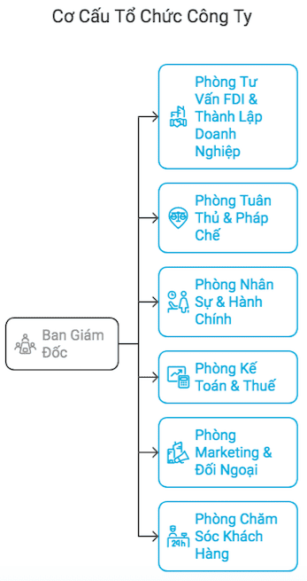 Cơ cấu tổ chức